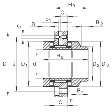 L/ALS ZARF65155-L-TV, pᔰbLSλȦ